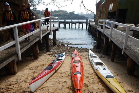 Kayak To Goat Island In Sydney Harbour With Local - Coogee Beach Accommodation 3