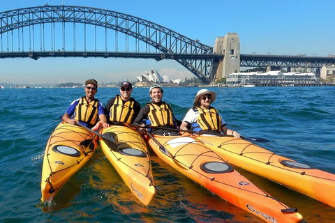 Kayak To Goat Island In Sydney Harbour With Local - Coogee Beach Accommodation 5