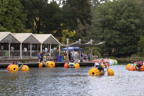 Yarra Valley, Dandenong Ranges Inc. Lunch With Wine,plus Morning Tea,chocolate - Coogee Beach Accommodation 1