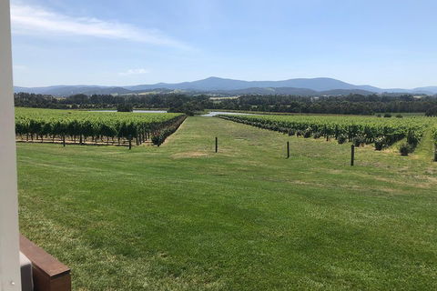 Yarra Valley, Dandenong Ranges Inc. Lunch With Wine,plus Morning Tea,chocolate - Coogee Beach Accommodation 3