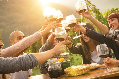 Yarra Valley, Dandenong Ranges Inc. Lunch With Wine,plus Morning Tea,chocolate - Coogee Beach Accommodation 4