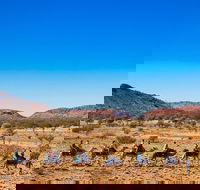 Alice Springs Camel Tour - Coogee Beach Accommodation