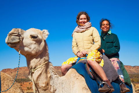 Alice Springs Camel Tour - Coogee Beach Accommodation 3