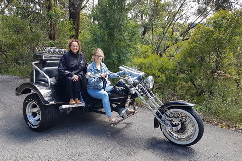 Blue Mountains 1-Hour Trike Tour Of Three Sisters - Coogee Beach Accommodation 1