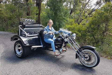 Blue Mountains 1-Hour Trike Tour Of Three Sisters - Coogee Beach Accommodation 4