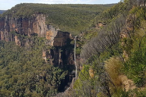 Blue Mountains 1-Hour Trike Tour Of Three Sisters - Coogee Beach Accommodation 5