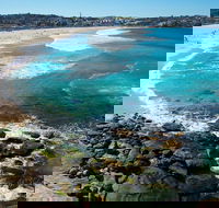 Private Sydney Foreshores and Beaches SUV Tour - Coogee Beach Accommodation
