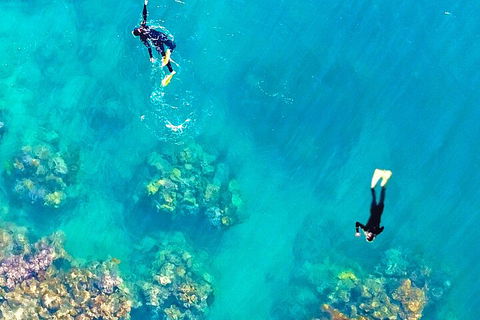 Fly & Cruise - Seaplane Package - Coogee Beach Accommodation 1