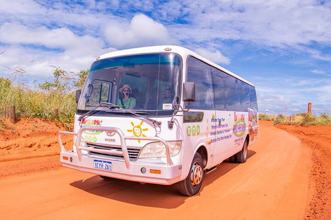 3 In 1 Tour: Matsoâ€™s Brewery, Broome Museum & Malcolm Douglas Crocodile Park - Coogee Beach Accommodation 2