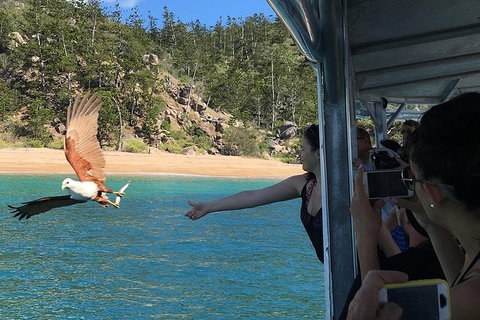 Aquascene Magnetic Island Discovery Tour - Coogee Beach Accommodation 2