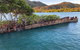 Aquascene Magnetic Island Discovery Tour - thumb 3