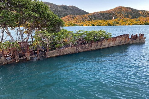 Aquascene Magnetic Island Discovery Tour - Coogee Beach Accommodation 3