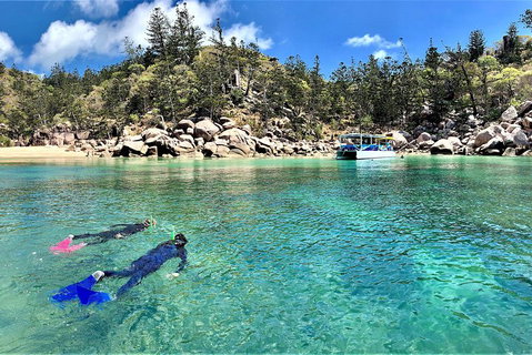 Aquascene Magnetic Island Discovery Tour - Coogee Beach Accommodation 4