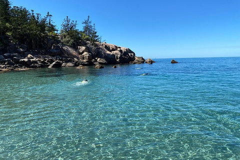 Aquascene Magnetic Island Discovery Tour - Coogee Beach Accommodation 5