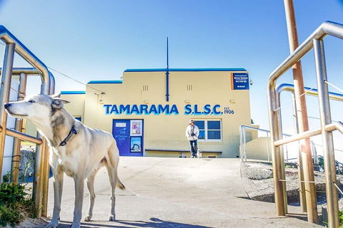 Smartphone & Camera Photography Basics - Coogee Beach Accommodation 5