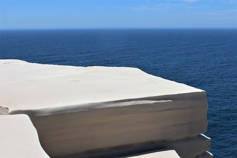 Royal National Park Tour - Coogee Beach Accommodation 0