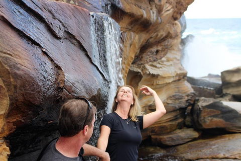 Royal National Park Tour - Coogee Beach Accommodation 4