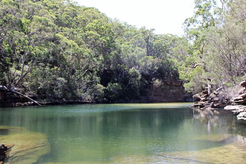 Royal National Park Tour - Coogee Beach Accommodation 5