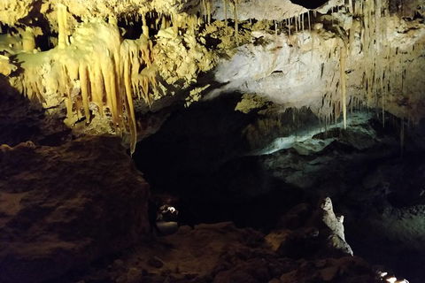 The Pinnacle Adventure Tour - Coogee Beach Accommodation 2