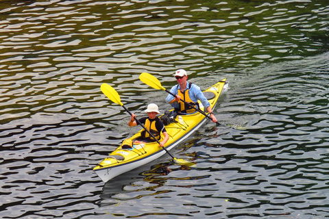Self-Guided Sydney Middle Harbour Kayak 3 Hour Tour By Double Kayak - Coogee Beach Accommodation 0