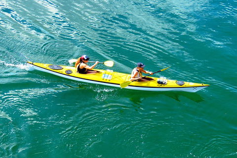 Self-Guided Sydney Middle Harbour Kayak 3 Hour Tour By Double Kayak - Coogee Beach Accommodation 1