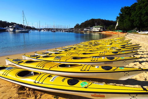 Self-Guided Sydney Middle Harbour Kayak 3 Hour Tour By Double Kayak - Coogee Beach Accommodation 4