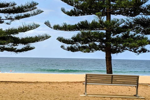 Manly & Sydney's Northern Beaches With 'Personalised Sydney Tours' - Coogee Beach Accommodation 0