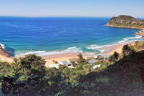 Manly & Sydney's Northern Beaches With 'Personalised Sydney Tours' - Coogee Beach Accommodation 2