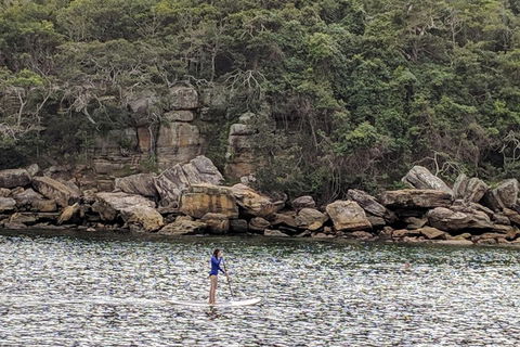 Manly & Sydney's Northern Beaches With 'Personalised Sydney Tours' - Coogee Beach Accommodation 3
