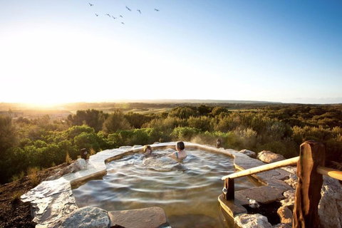 Peninsula Hot Springs & Wine Tasting - Day Tour - Coogee Beach Accommodation 0