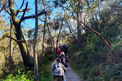 Self-Guided Waterfall Gully To Mount Lofty Hike From Adelaide - Coogee Beach Accommodation 1