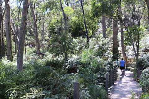 Self-Guided Waterfall Gully To Mount Lofty Hike From Adelaide - Coogee Beach Accommodation 2