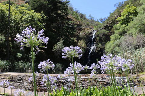Self-Guided Waterfall Gully To Mount Lofty Hike From Adelaide - Coogee Beach Accommodation 3