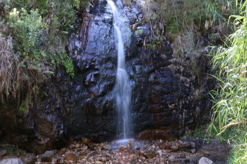 Self-Guided Waterfall Gully To Mount Lofty Hike From Adelaide - Coogee Beach Accommodation 5