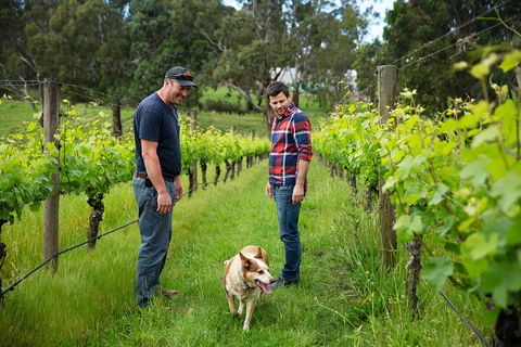 LGBT+ Friendly Full Day Yarra Valley & Dandenong Ranges Private Tour - Coogee Beach Accommodation 4