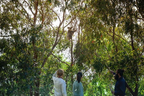 LGBT+ Friendly 3 Day Tour The Grampians, Daylesford & Ballarat - Coogee Beach Accommodation 4