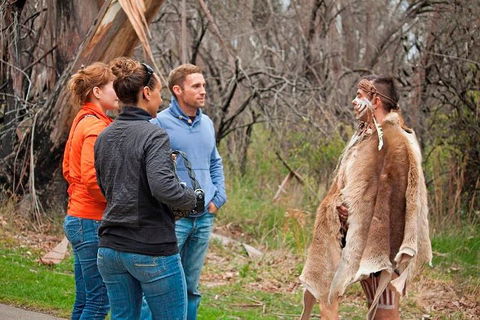 Blue Mountains Tour From Sydney With An Aboriginal Experience - Coogee Beach Accommodation 3