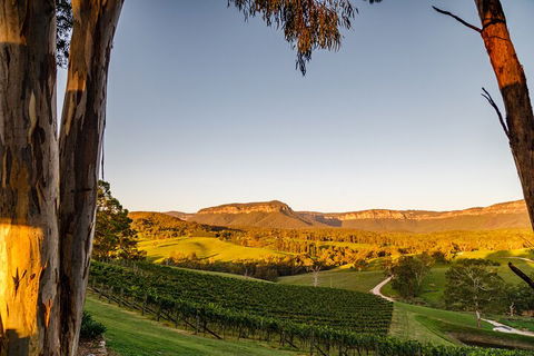 Taste Of The Blue Mountains - Lunch & Wine Tasting, Beer, Cider & Gin Tasting - Coogee Beach Accommodation 1