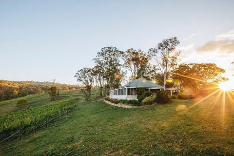 Taste Of The Blue Mountains - Lunch & Wine Tasting, Beer, Cider & Gin Tasting - Coogee Beach Accommodation 2