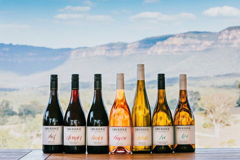 Taste Of The Blue Mountains - Lunch & Wine Tasting, Beer, Cider & Gin Tasting - Coogee Beach Accommodation 3