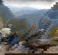 Inside the Greater Blue Mountains World Heritage - A Private Wildlife Safari Overnight - Coogee Beach Accommodation