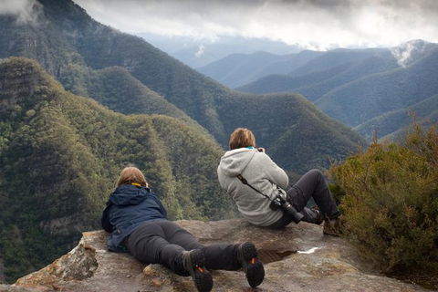 Inside The Greater Blue Mountains World Heritage - A Private Wildlife Safari Overnight - Coogee Beach Accommodation 0