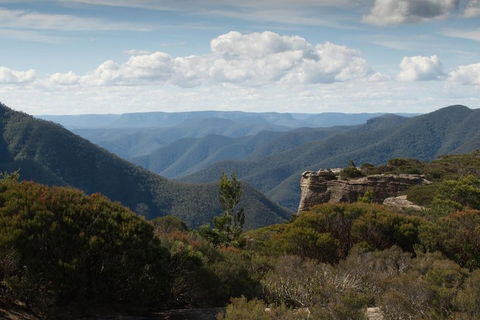 Inside The Greater Blue Mountains World Heritage - A Private Wildlife Safari Overnight - Coogee Beach Accommodation 5