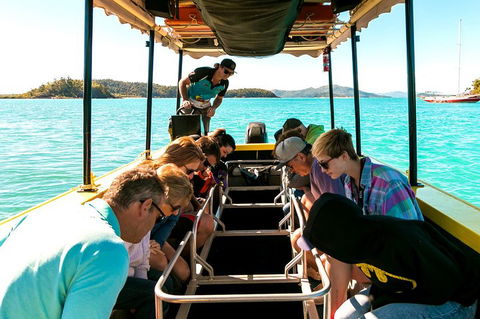 Airlie Beach Glass Bottom Boat Tour - Coogee Beach Accommodation 1