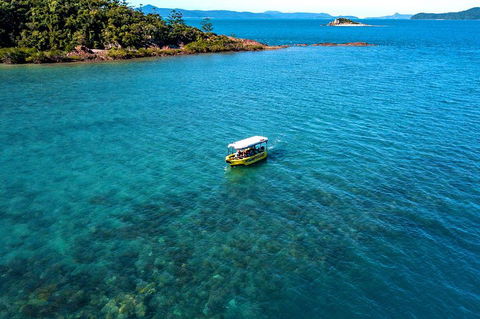 Airlie Beach Glass Bottom Boat Tour - Coogee Beach Accommodation 4