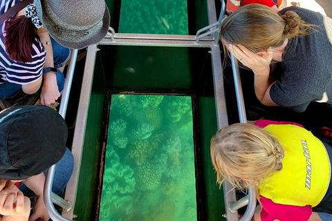 Airlie Beach Glass Bottom Boat Tour - Coogee Beach Accommodation 5