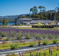 Private Hobart Discover South East Food and Scenic Tour - Coogee Beach Accommodation