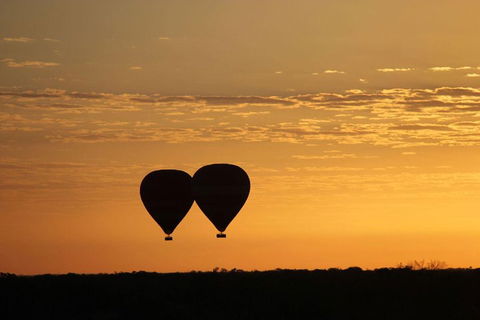 Early Morning Ballooning In Alice Springs - Coogee Beach Accommodation 2