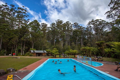 Tahune Airwalk Active Day Trip From Hobart Including Hastings Caves - Coogee Beach Accommodation 0