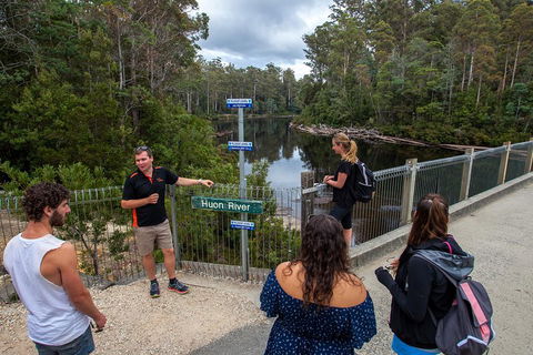Tahune Airwalk Active Day Trip From Hobart Including Hastings Caves - Coogee Beach Accommodation 1
